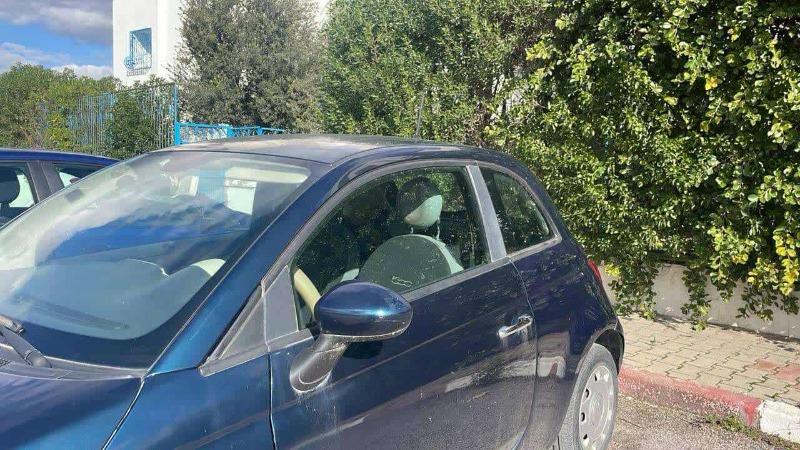 Image 5