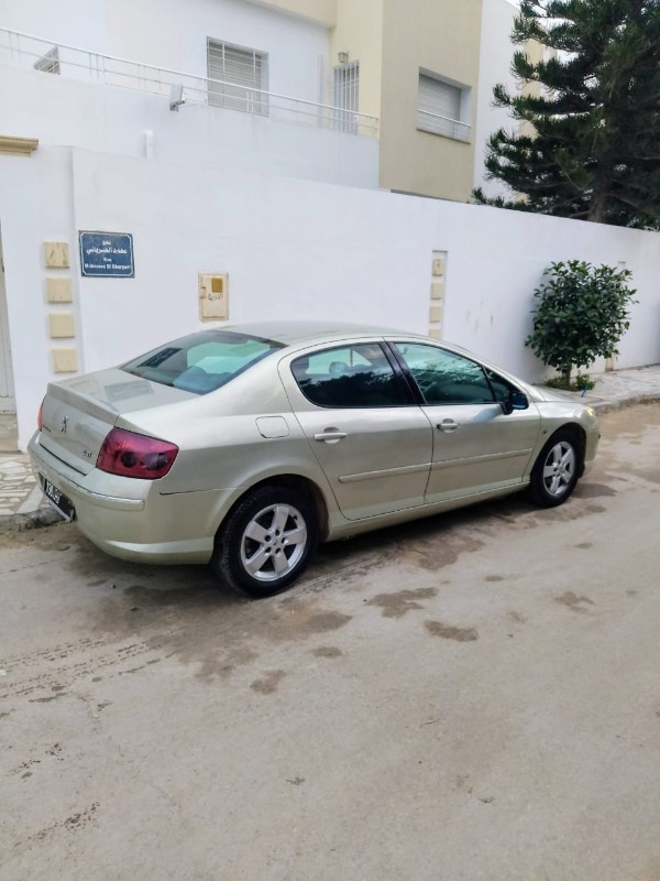 Peugeot 407 Diesel 2009 - Image de l'annonce