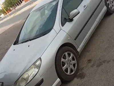 Peugeot 407 Diesel 2008