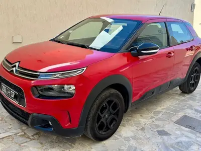 C4 CACTUS Essence 2018