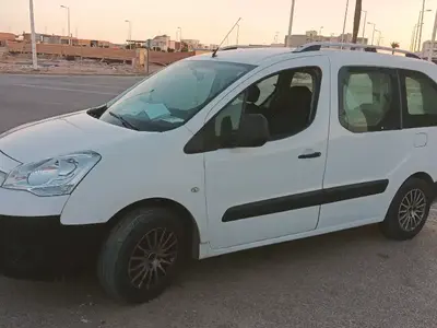 Citroen Berlingo 2010 295000 km