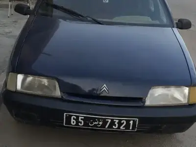 Citroen Zx 1990 384 km