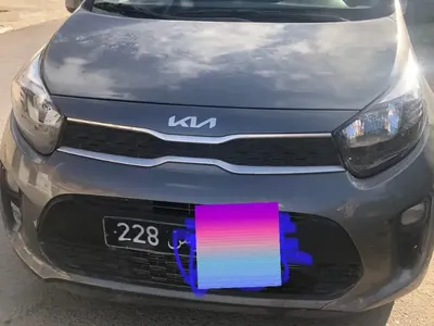 Kia Picanto 2022 250 km