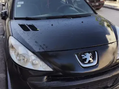 Peugeot 206+  2011 / 210 km