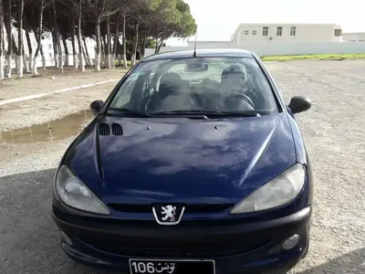 Peugeot 206 2002 224500 km