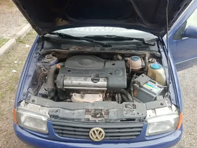 Volkswagen Polo - Photo 6