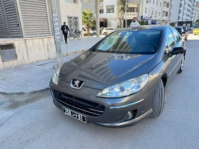 Peugeot 407 2009 241 km