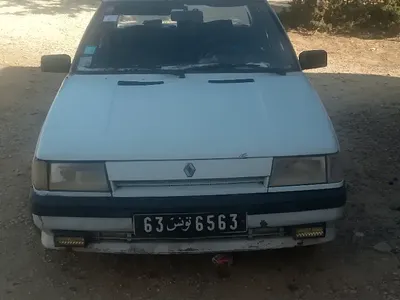 Renault R9 1998 300 km
