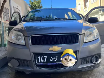 Chevrolet Aveo 2009 195000 km