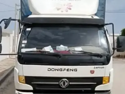 Dongfeng Autre 2016 289000 km