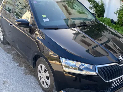 Skoda Fabia 2021 100000 km