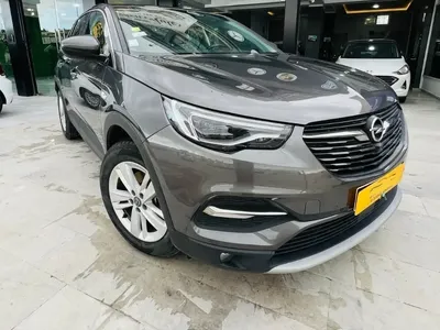 Opel Grandland X - Photo 10