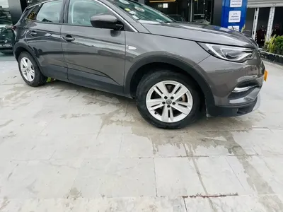 Opel Grandland X - Photo 9