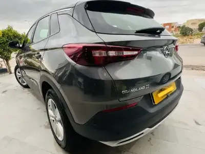 Opel Grandland X - Photo 7