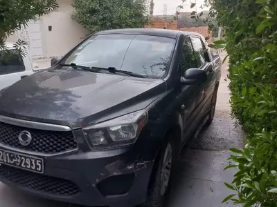 Ssangyong Autres 2017 450000 km