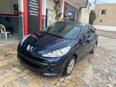 Peugeot 207 2007 460 km