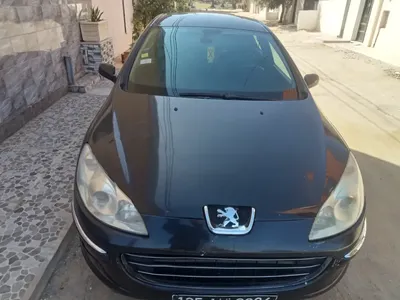 Peugeot 407 2008 240.000 km