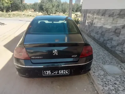 Peugeot 407 - Photo 9