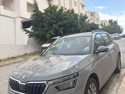 Skoda Kamiq 2021 107000 km