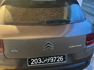 Citroen C4 CACTUS - Photo 2