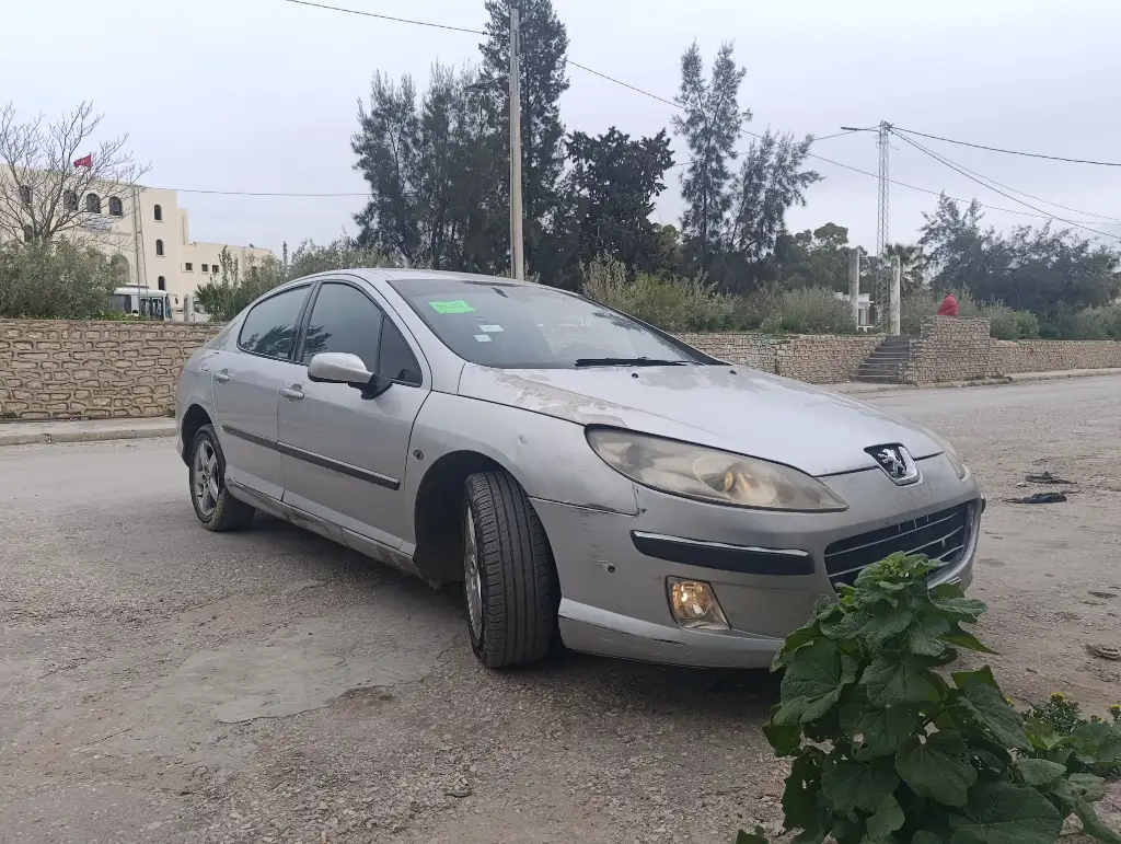 Peugeot 407 2006