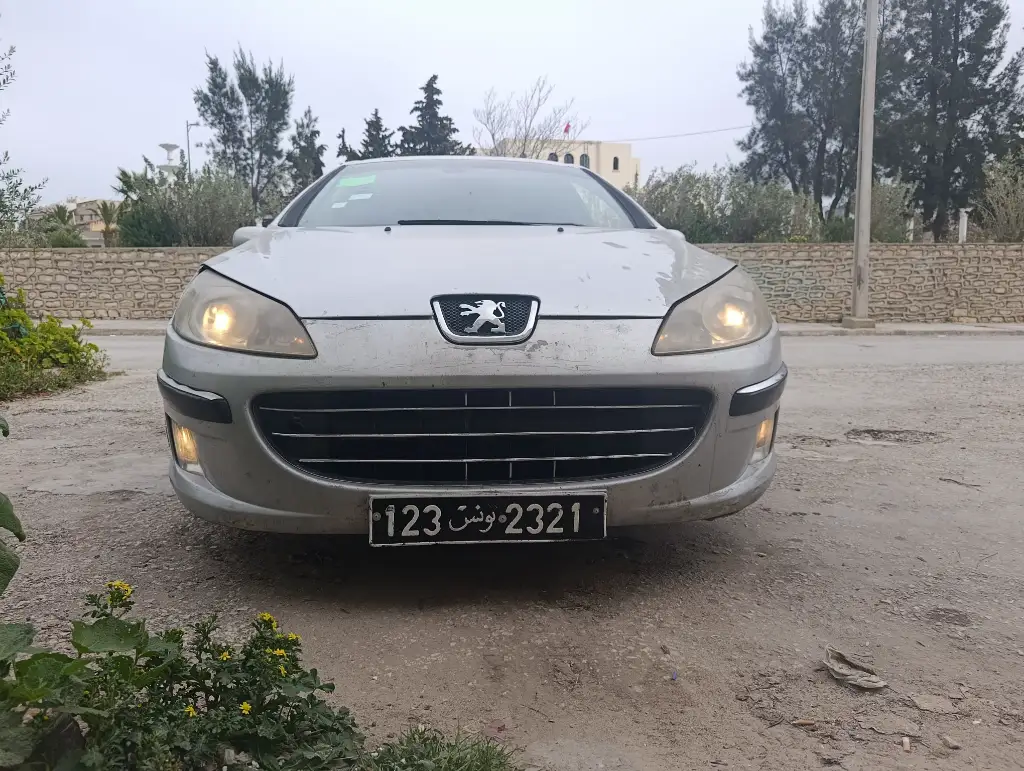 Peugeot 407 - Photo 3