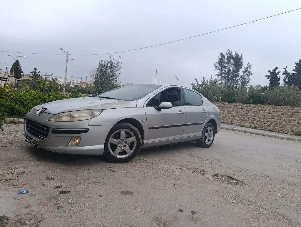 Peugeot 407 - Photo 4