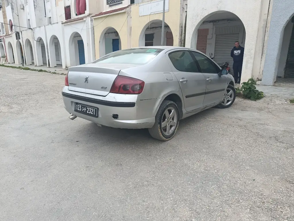 Peugeot 407 - Photo 5