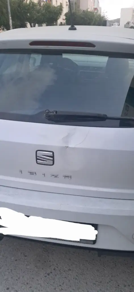 Seat Ibiza - Photo 9