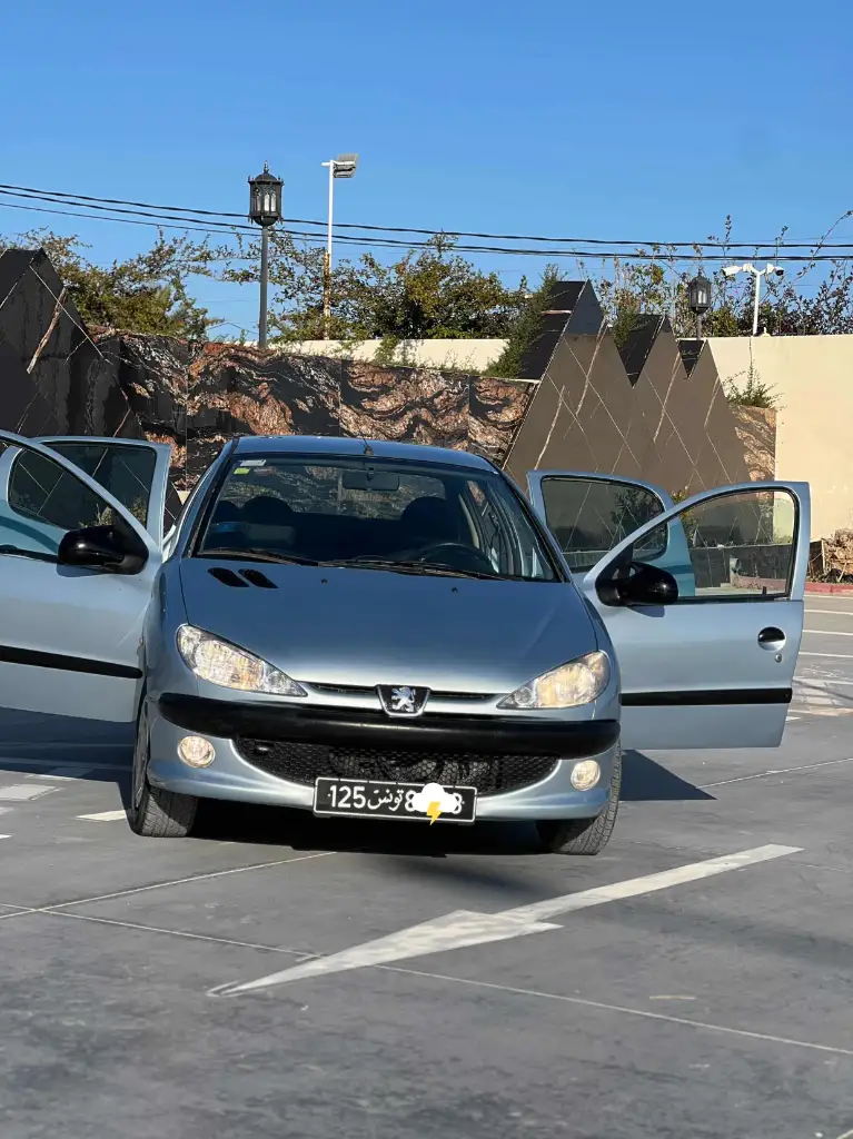 Peugeot 206 2007