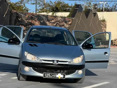 Peugeot 206 2007