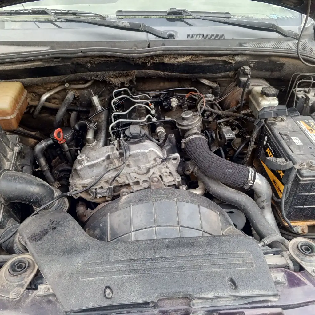 Ssangyong Kyron - Photo 9
