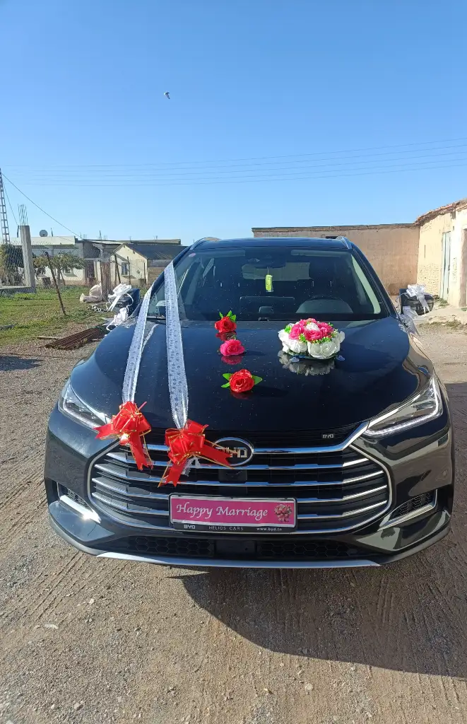 BYD F1 2022