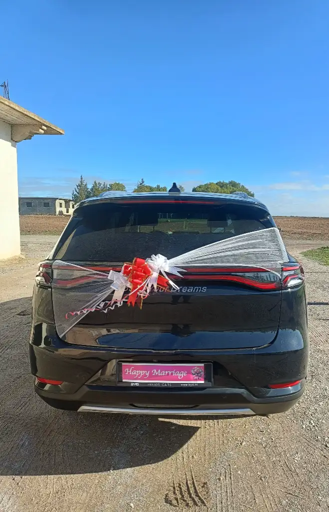 BYD F1 - Photo 4
