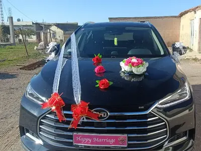 BYD F1 2022 