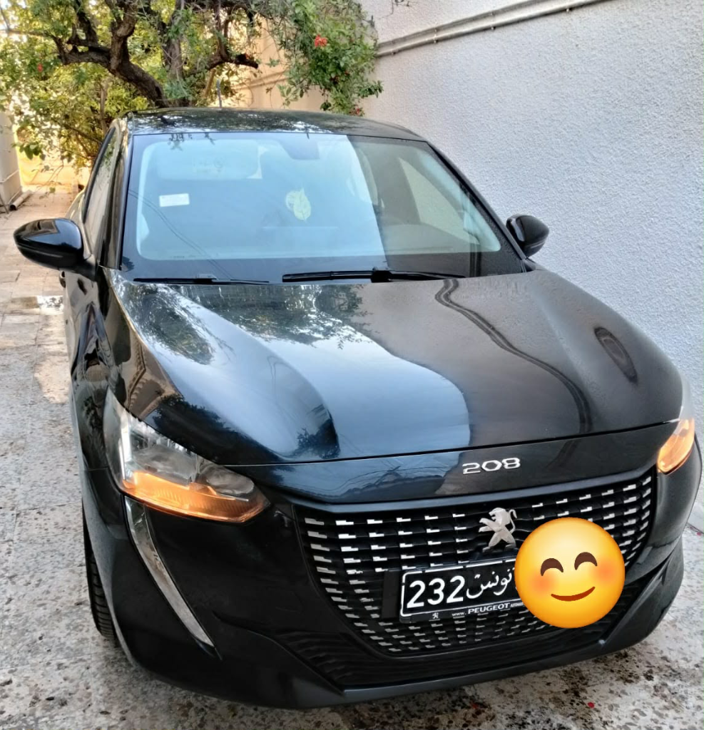 Peugeot 208 2022