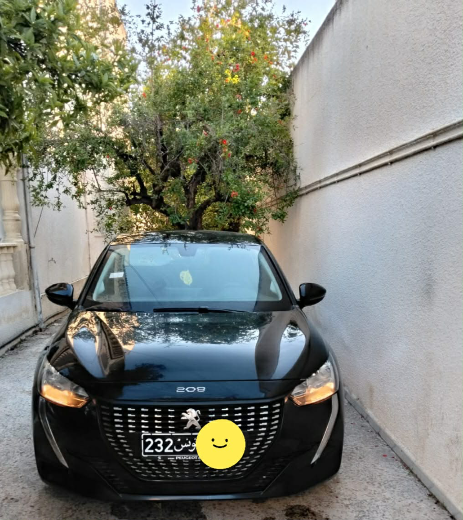 Peugeot 208 - Photo 2