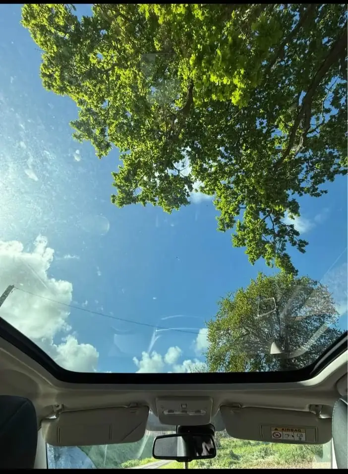 Nissan Qashqai - Photo 4