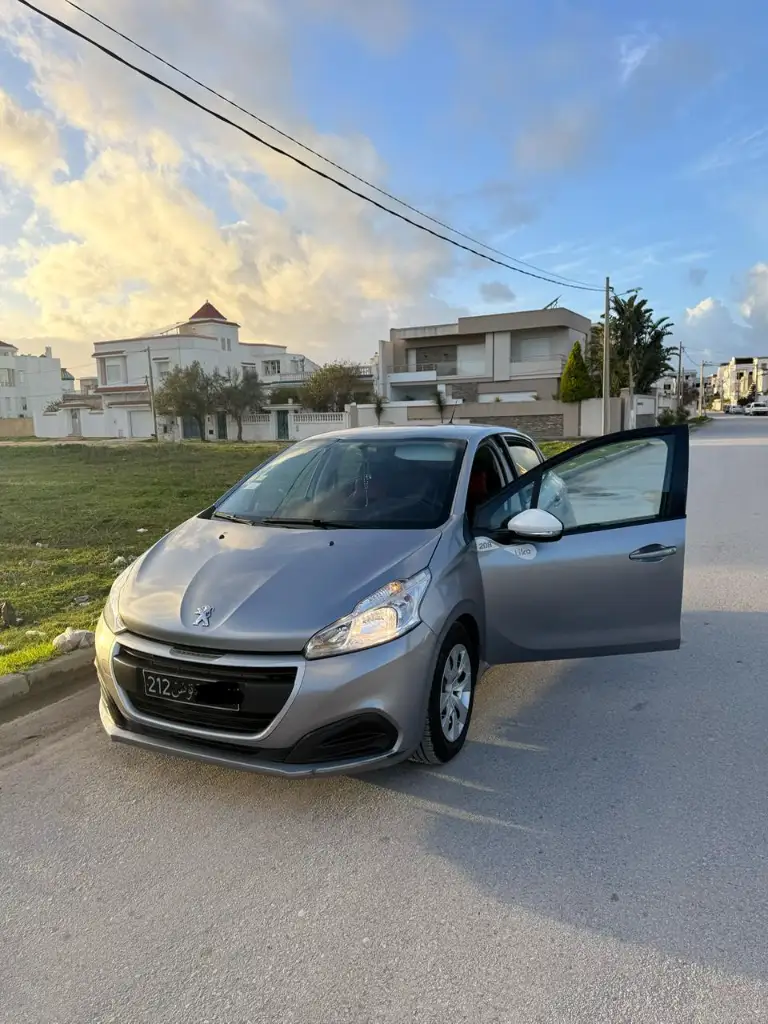 Peugeot 208 2019