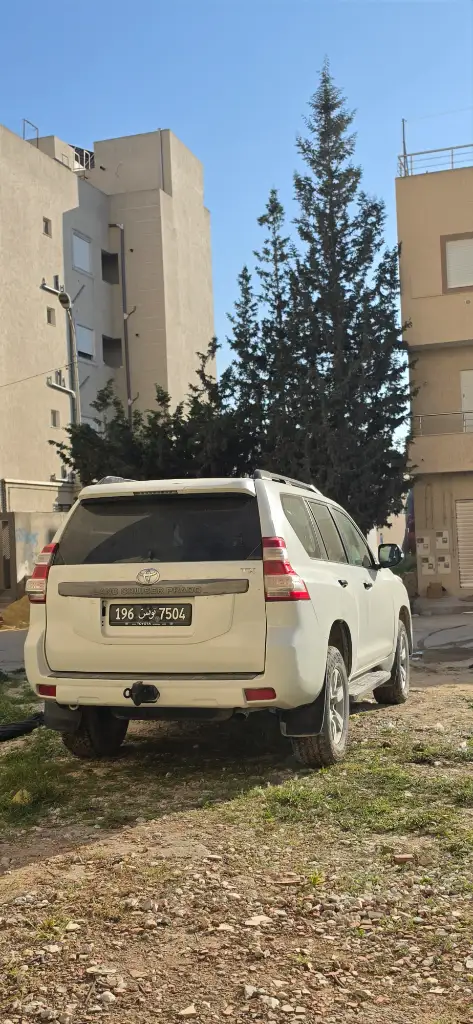Toyota Land Cruiser - Photo 2