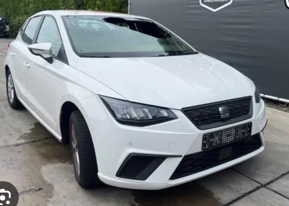 Seat Ibiza FR 2023