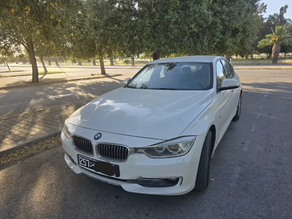 Bmw 316 2014