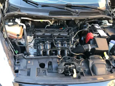 Ford Fiesta Active - Photo 3