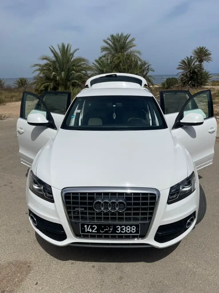 Audi Q5 2010