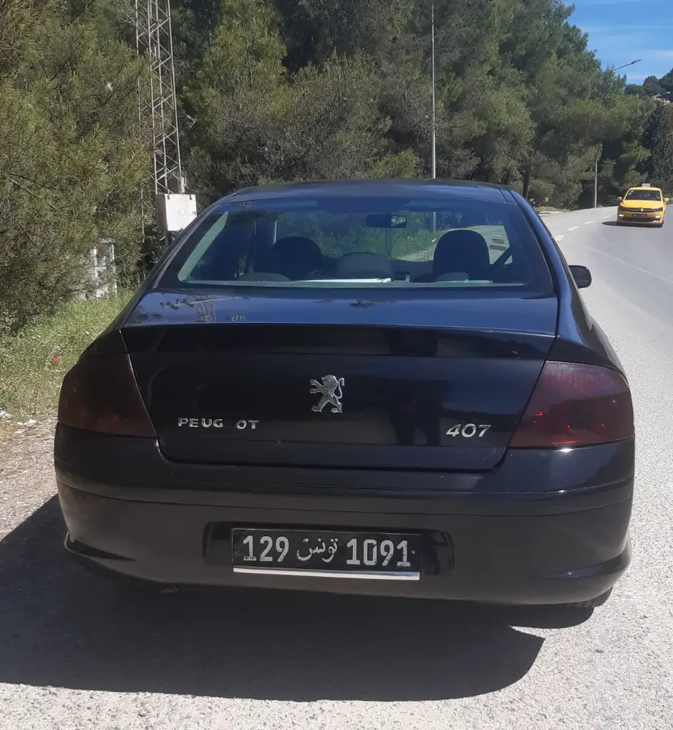 Peugeot 407 - Photo 2