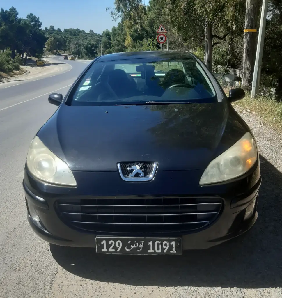 Peugeot 407 2006
