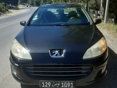 Peugeot 407 2006 326000 km
