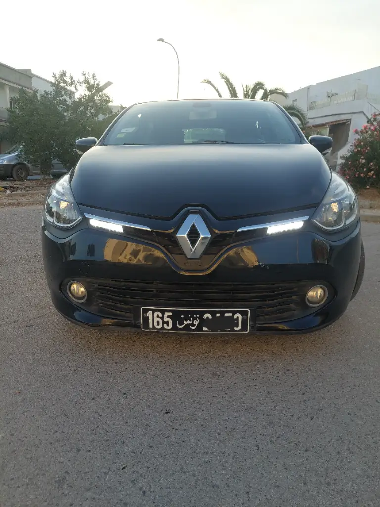 Renault Clio 2013