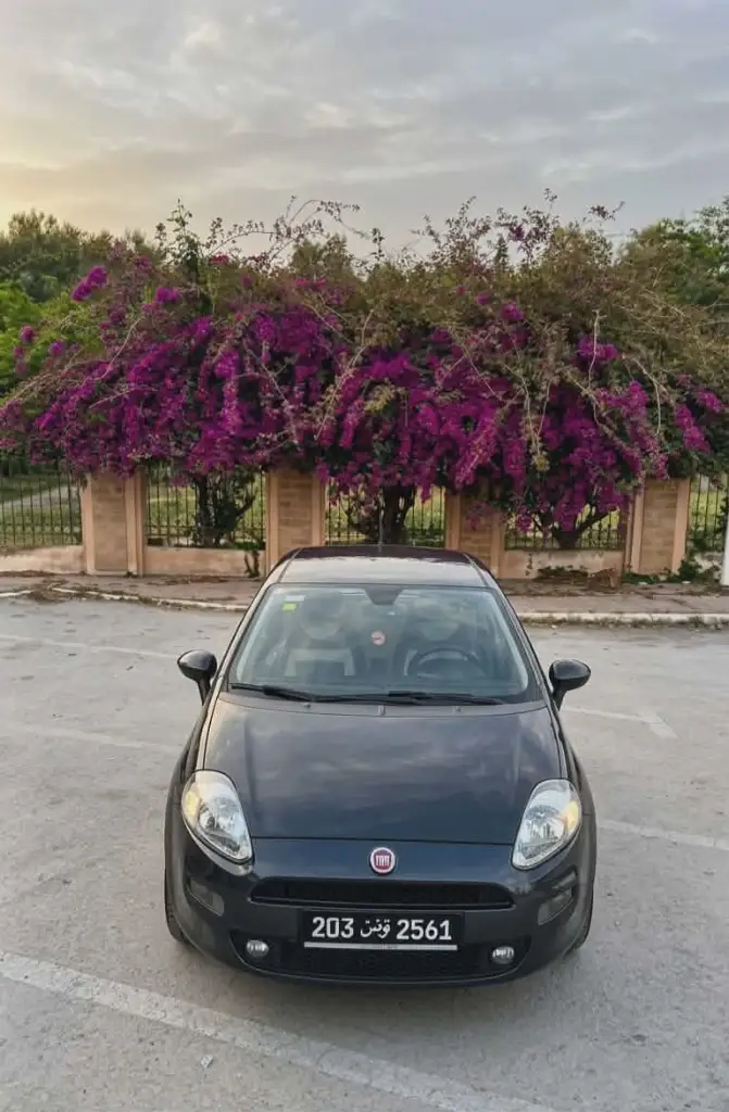 Fiat GRANDE PUNTO - Photo 2