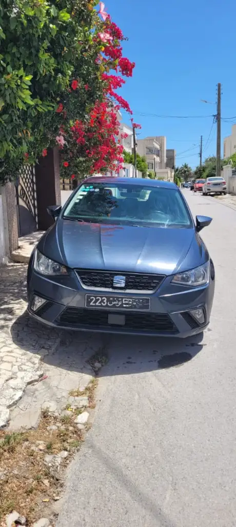 Seat Ibiza 2021